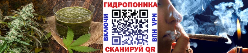 Canna-Cookies конопля  нарко площадка формула  Пятигорск  закладки  MEGA ТОР 