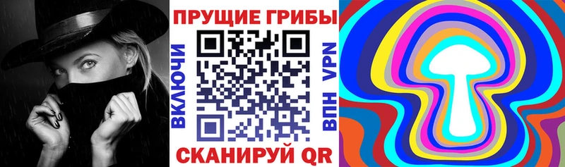 Псилоцибиновые грибы GOLDEN TEACHER даркнет сайт Пятигорск
