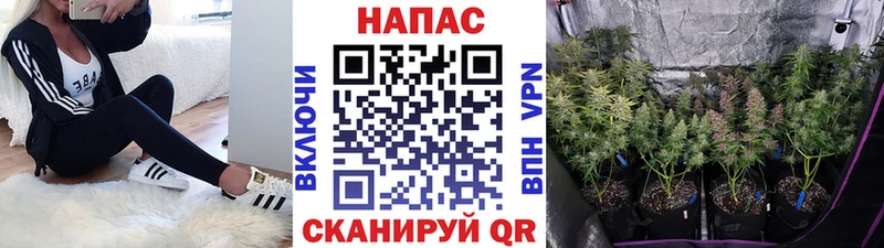мега зеркало Пятигорск МАРИХУАНА Ganja